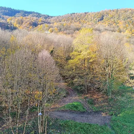 La Bulle De Luchon, Proche Telecabine, 4 Personnes Apartamento